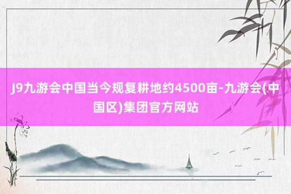 J9九游会中国当今规复耕地约4500亩-九游会(中国区)集团官方网站