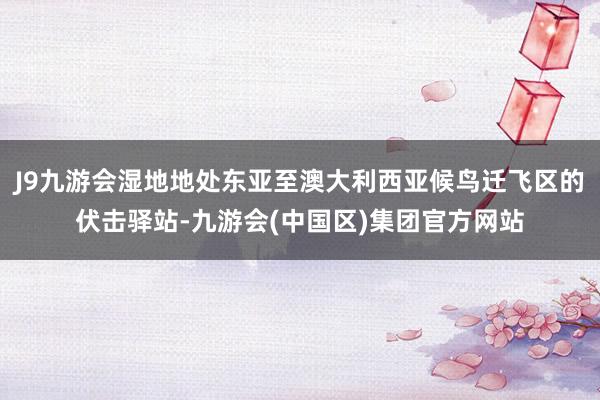 J9九游会湿地地处东亚至澳大利西亚候鸟迁飞区的伏击驿站-九游会(中国区)集团官方网站